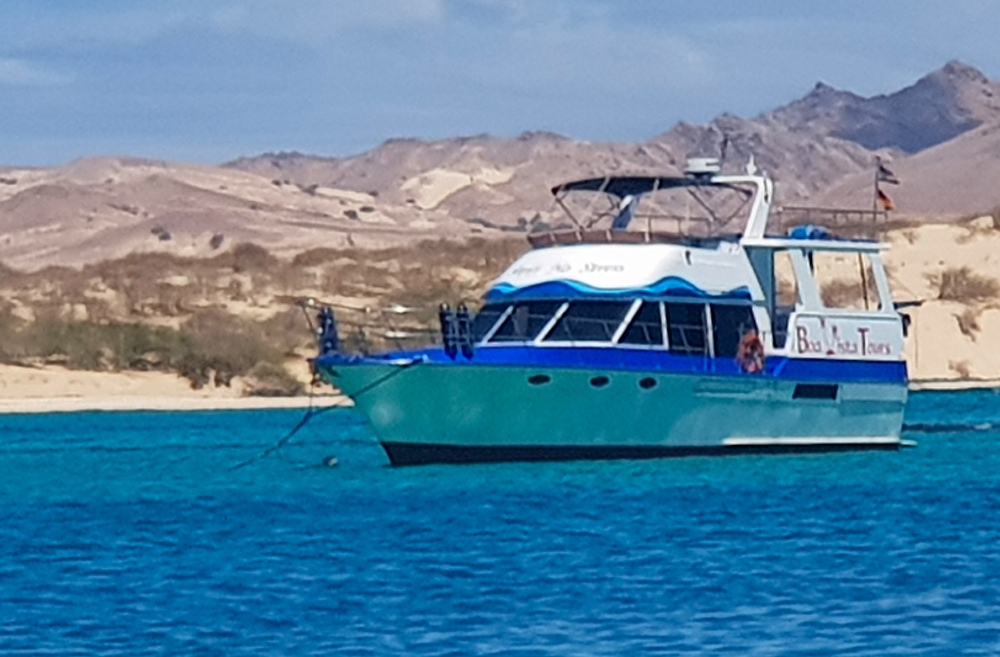 Bootstouren, Schnorcheln, Angeln, BBQ, Boa Vista Tours, Bootsausflüge, Speedboot