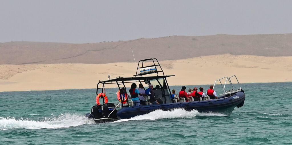 Boat tours, snorkelling, fishing, BBQ, Boa Vista Tours, boat trips, speedboat