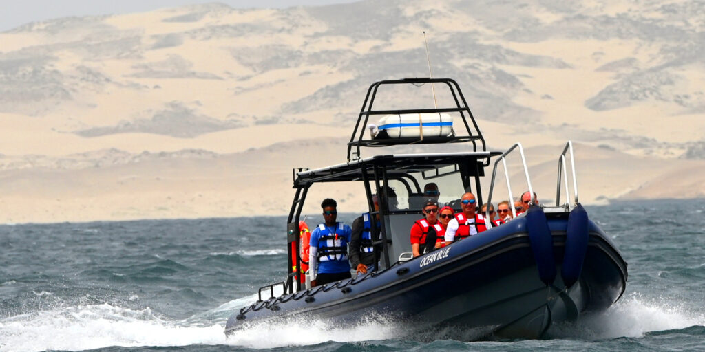 Boat tours, snorkelling, fishing, BBQ, Boa Vista Tours, boat trips, speedboat